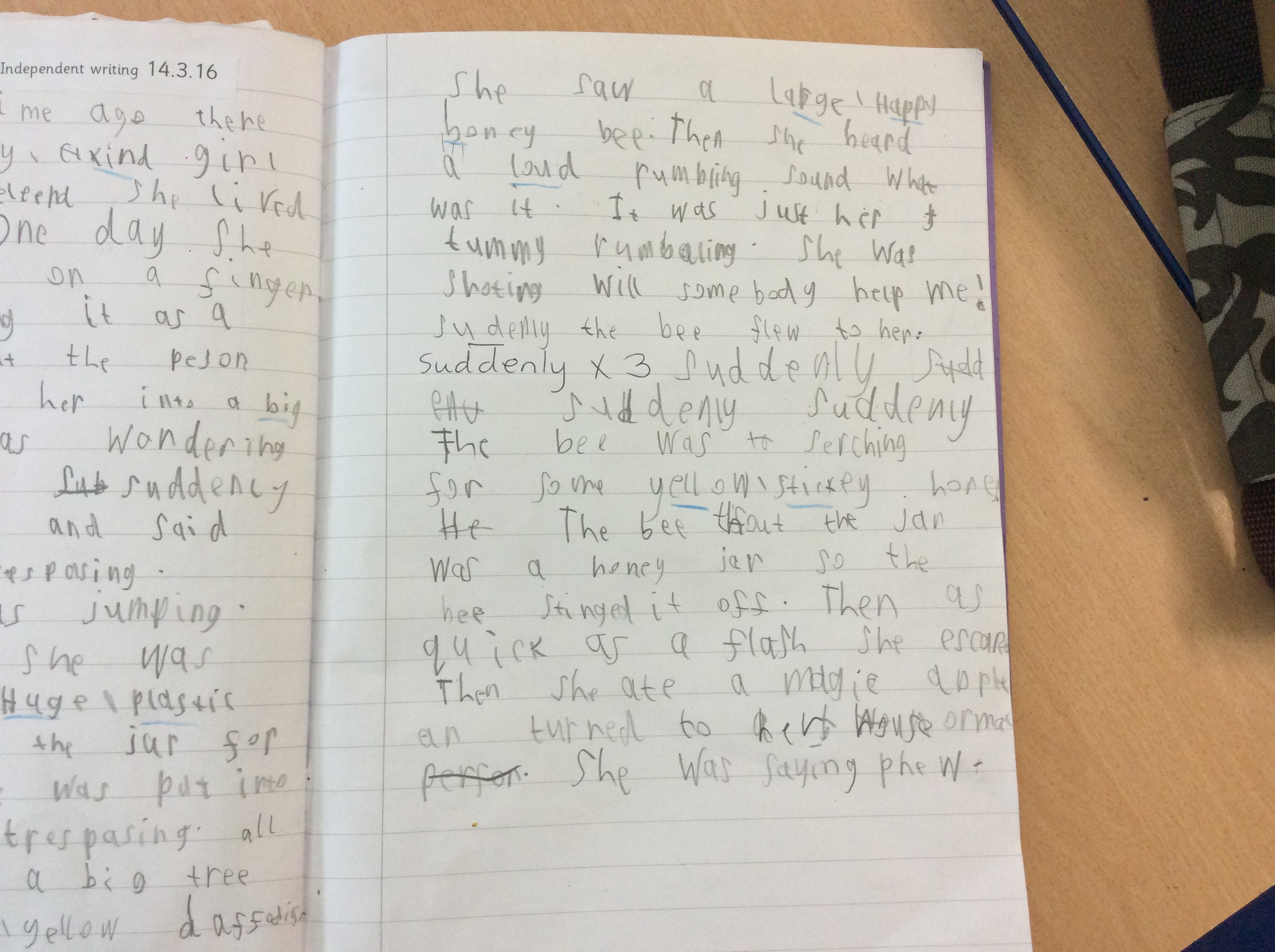 Year 1 Writing Samples