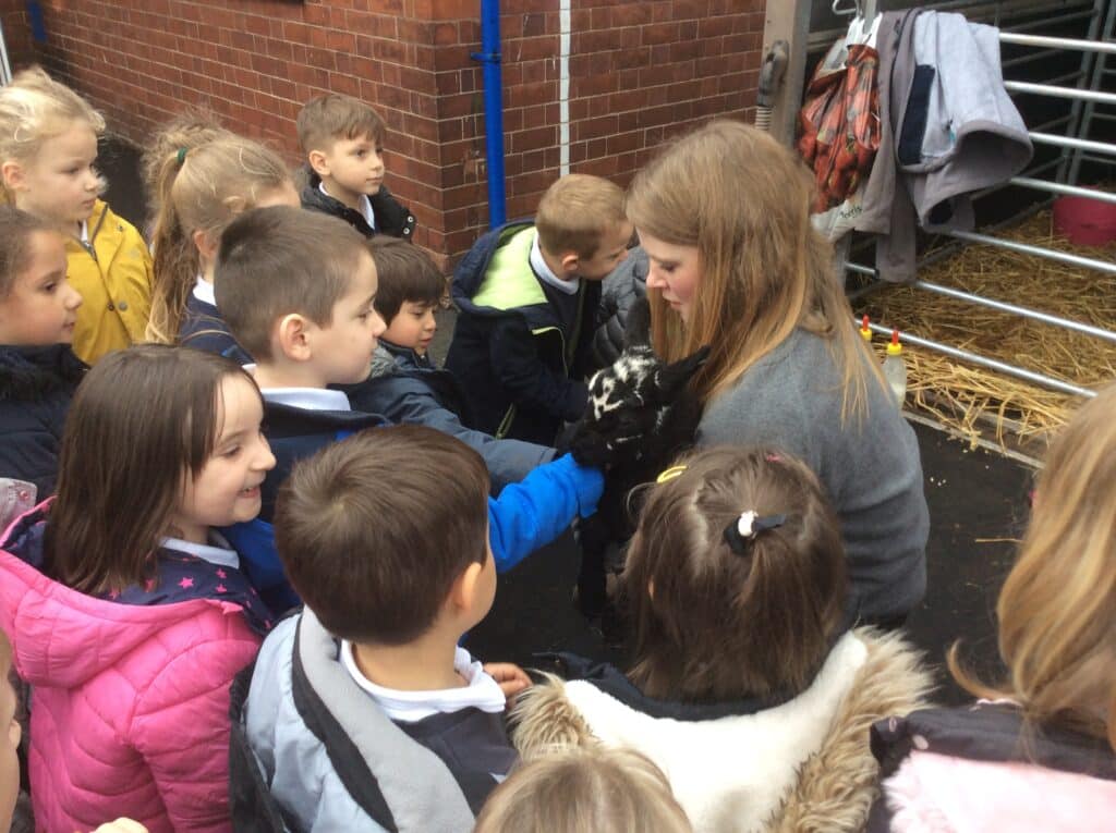 Lambs at School Lord Scudamore Academy