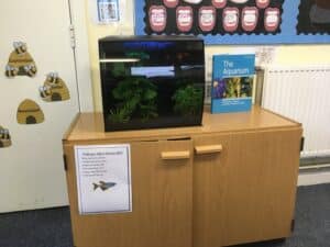 Fishkeeper Fry – Lord Scudamore Academy