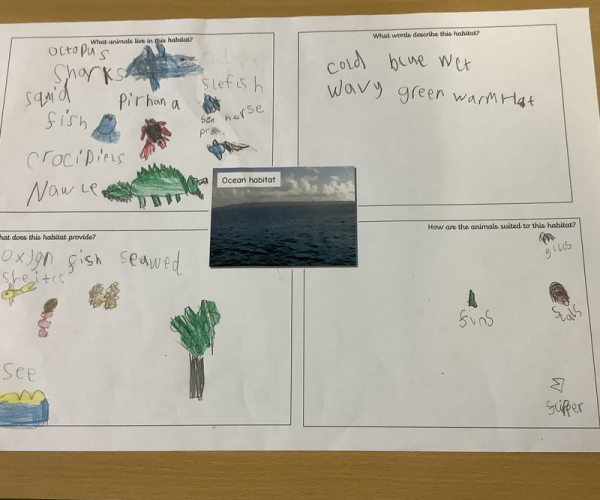 Habitats in Year 2 – Lord Scudamore Academy